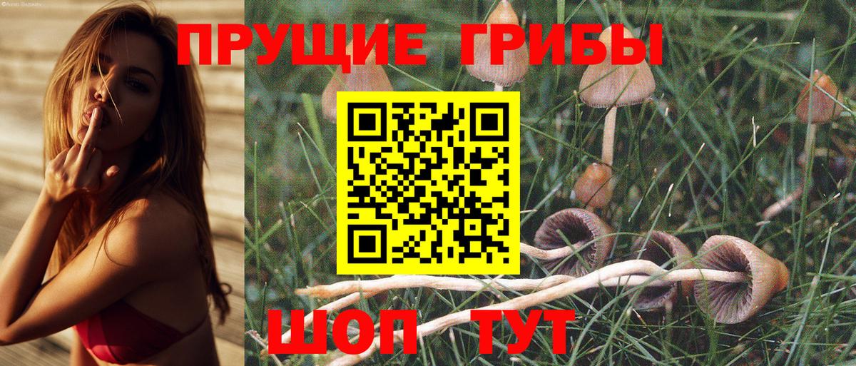 Псилоцибиновые грибы MAGIC MUSHROOMS  Галлюциногенные грибы ЛСД  Новошахтинск  купить наркотики цена  Вход с VPN 